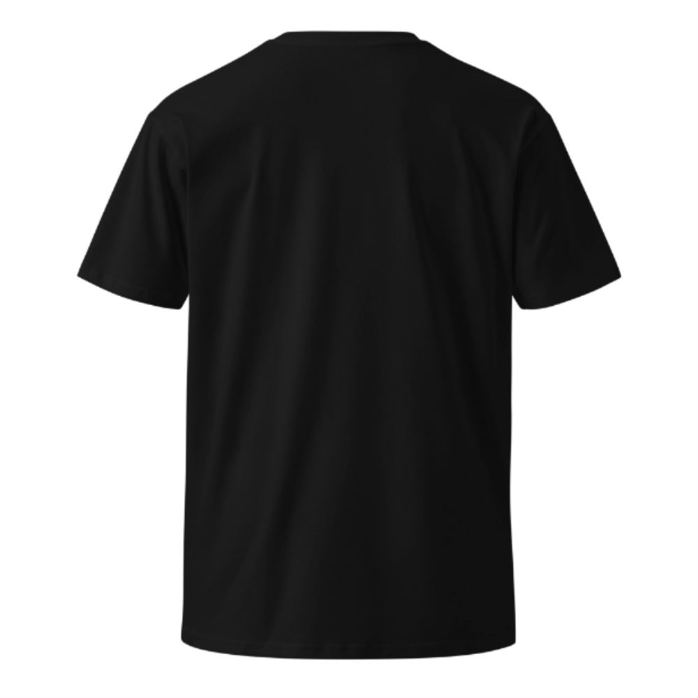 Unisex Round Neck Cotton T shirt ERA NOT AURA