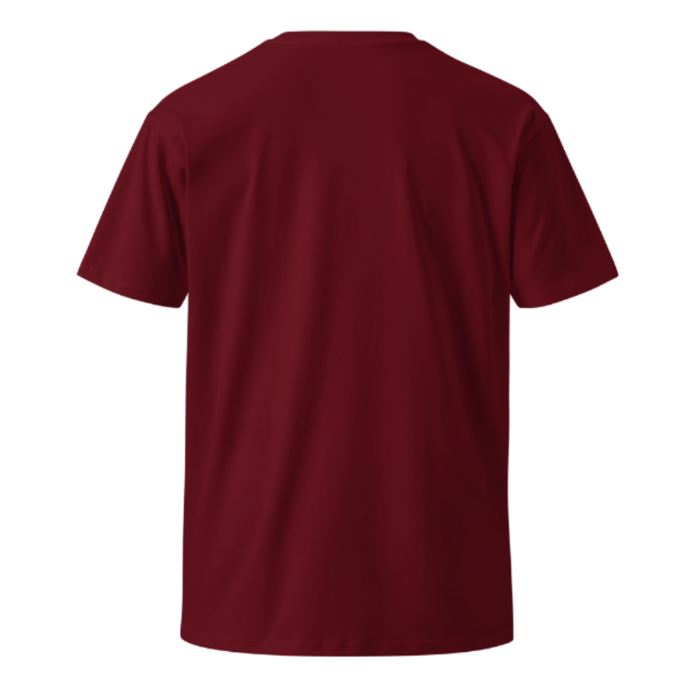 Unisex  Round Neck Cotton T shirt ERA NOT AURA